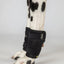 Back On Track Milo Dog Wrist Brace