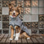 Back On Track Nella Dog Coat