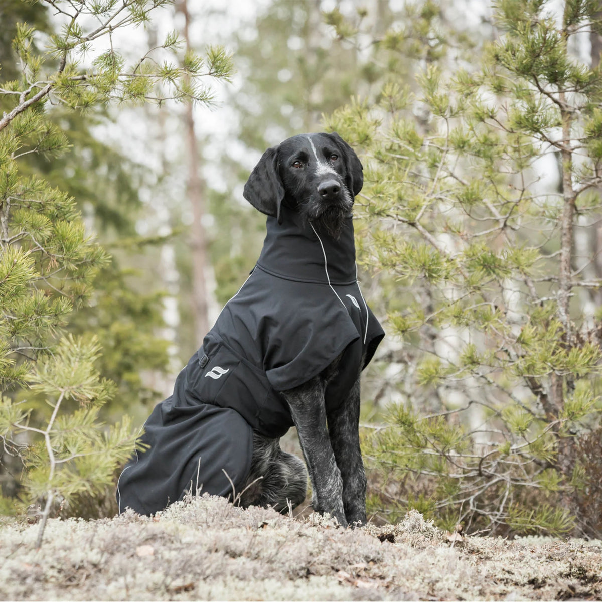Back On Track Nella Dog Coat