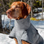 Back On Track Nella Dog Coat
