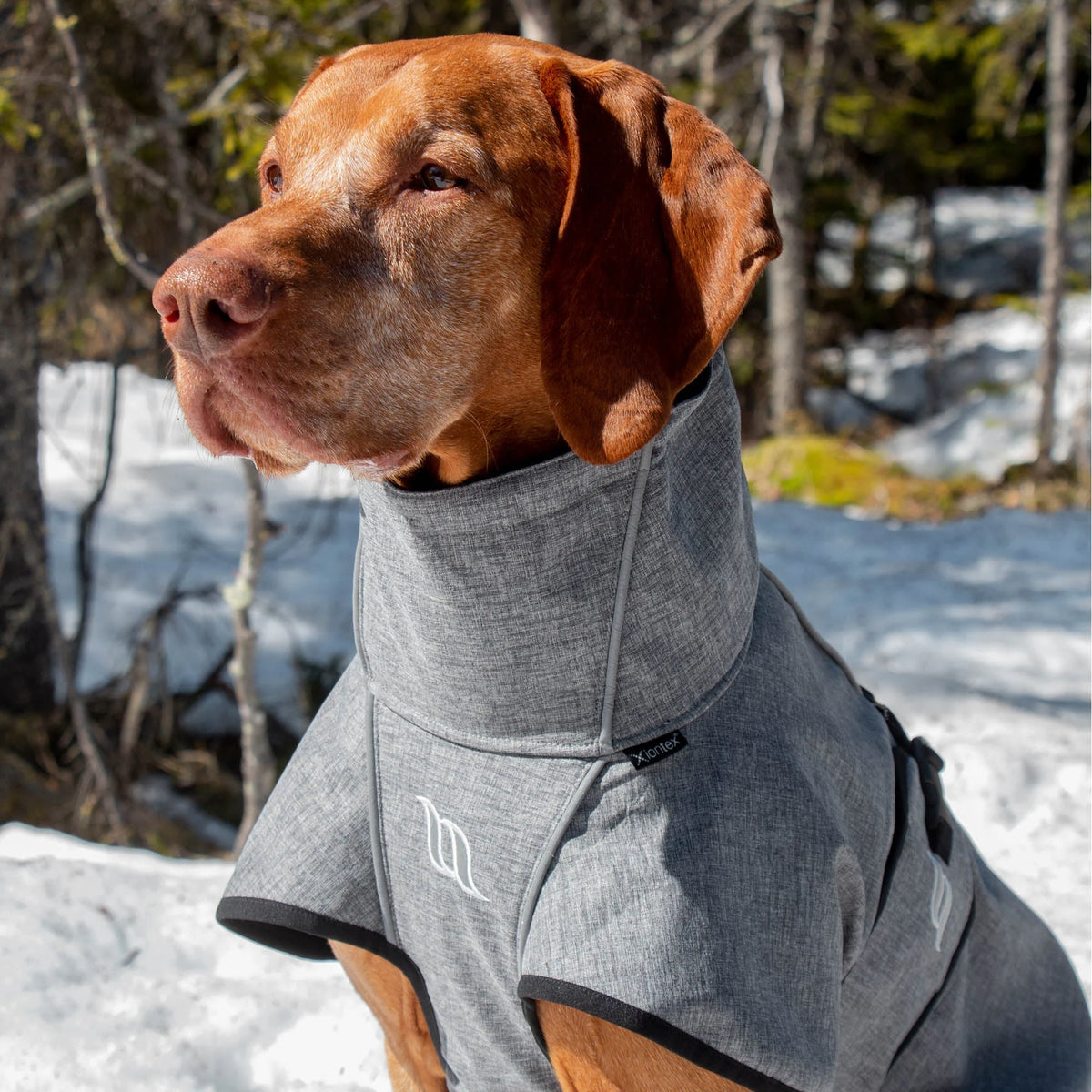 Back On Track Nella Dog Coat