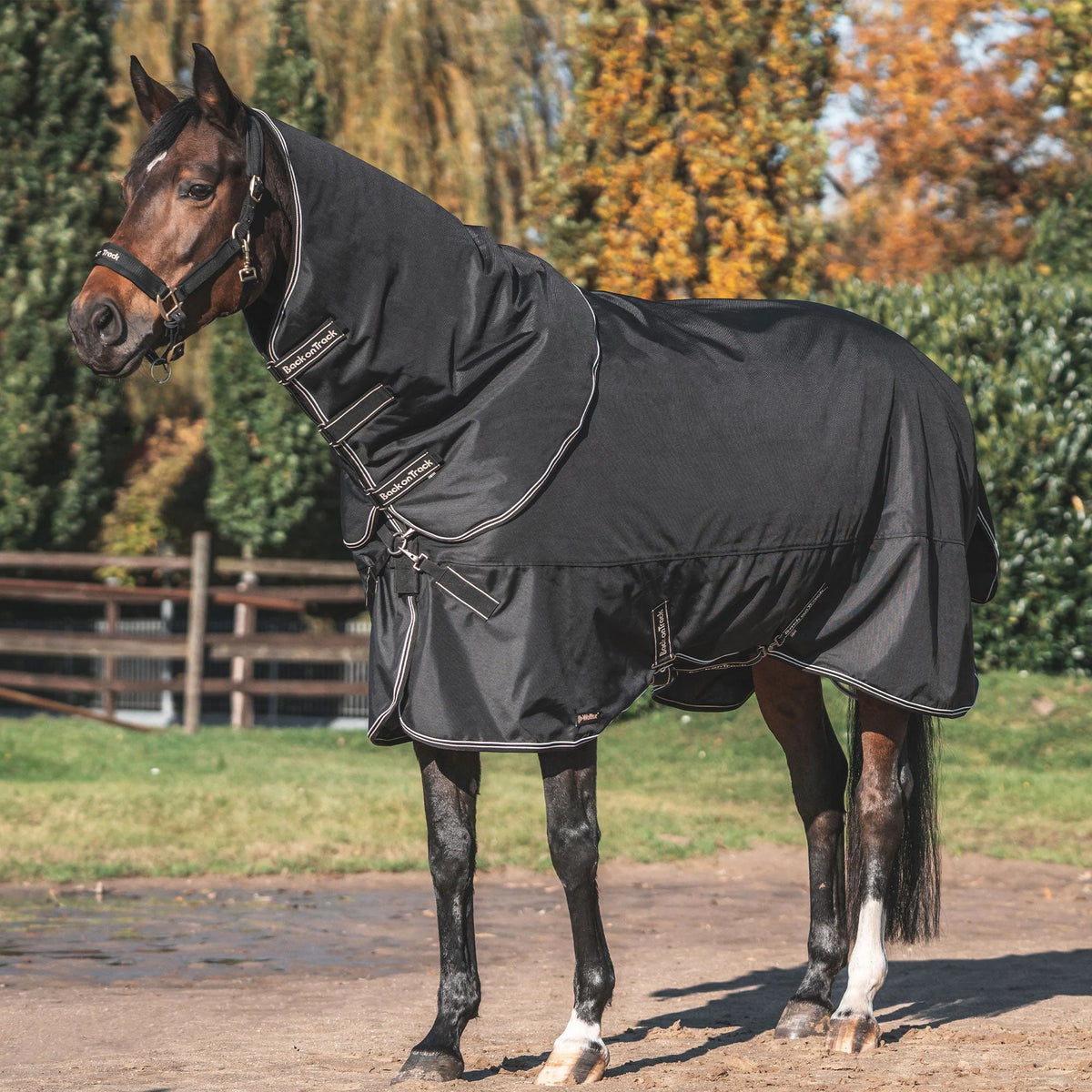 Back On Track Obsidian Turnout Blanket with Neck Cover