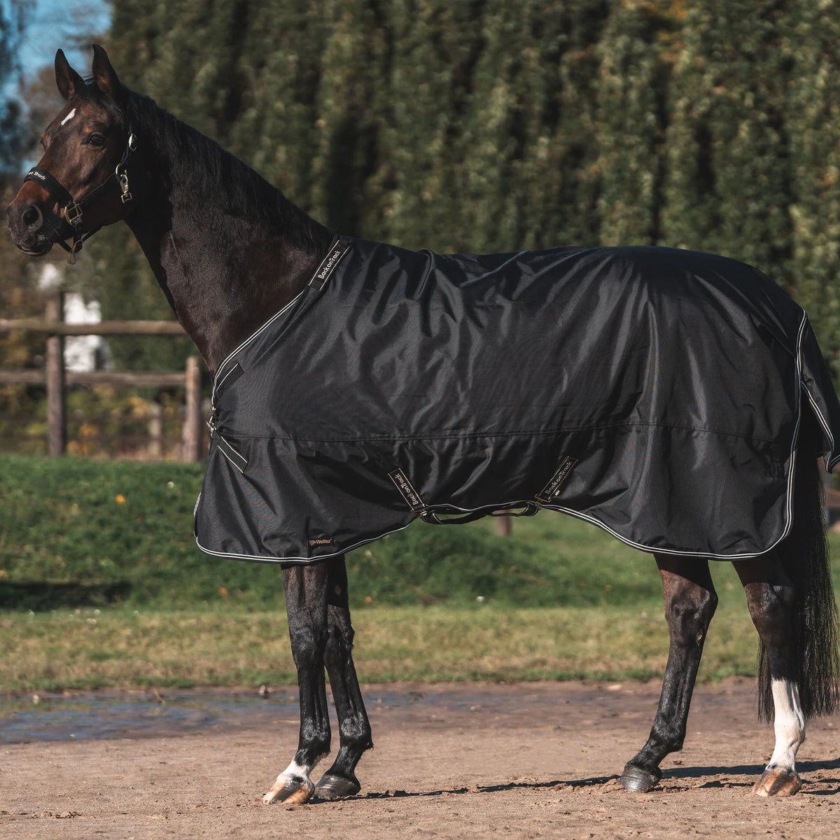 Back On Track Obsidian Turnout Blanket with Neck Cover