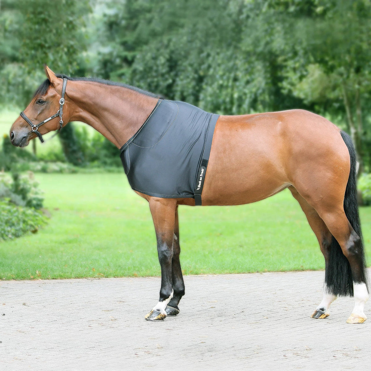 Back On Track Padded Shoulder Guard