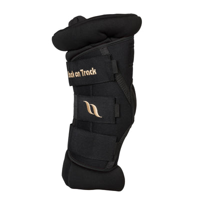Back On Track Royal Padded Hock Boots Deluxe with Holes - Black Therapeutic Horse Boots