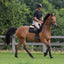Back On Track Royal Work Boots