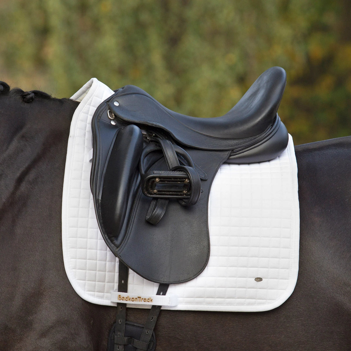 Back On Track Saddle Pad No1 Dressage