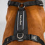 Back On Track Sally Dog Harness