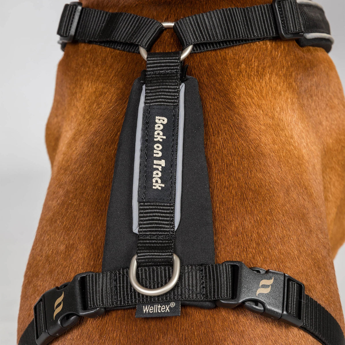 Back On Track Sally Dog Harness