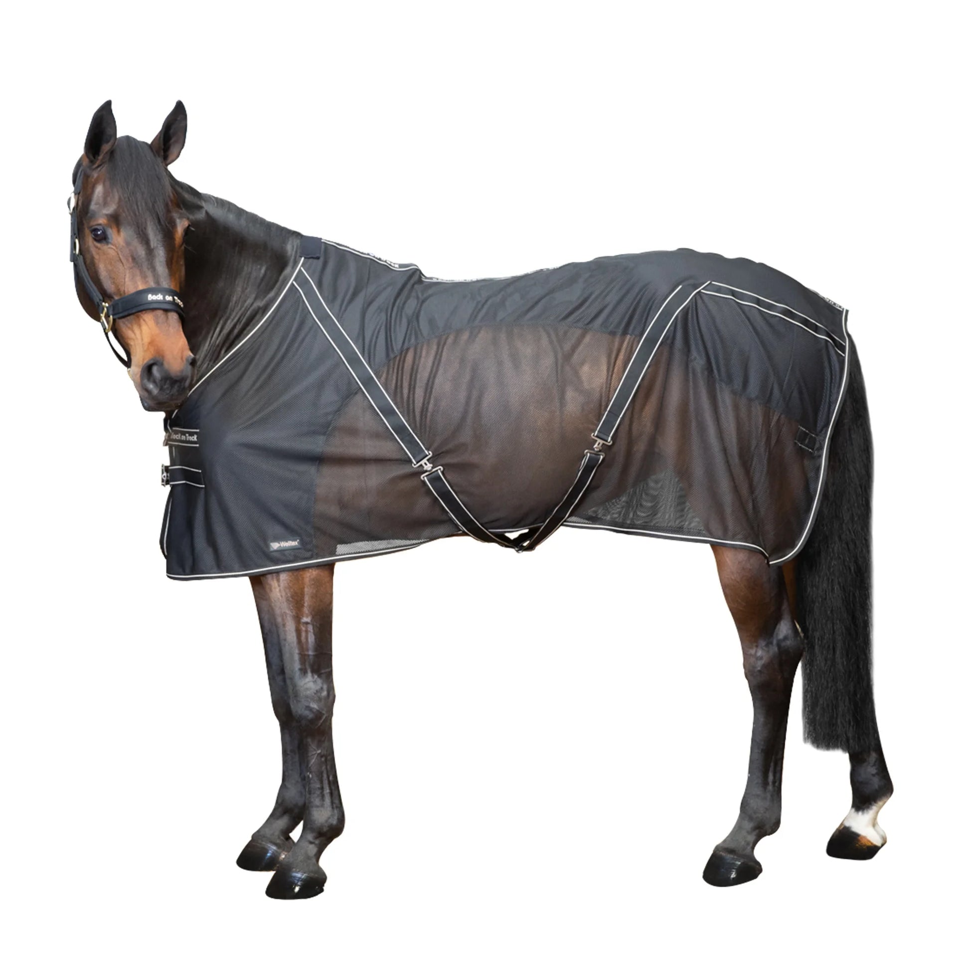 Back On Track Sienna Mesh Sheet - Black Therapeutic Horse Sheet with Knitted Lining - Multiple Sizes