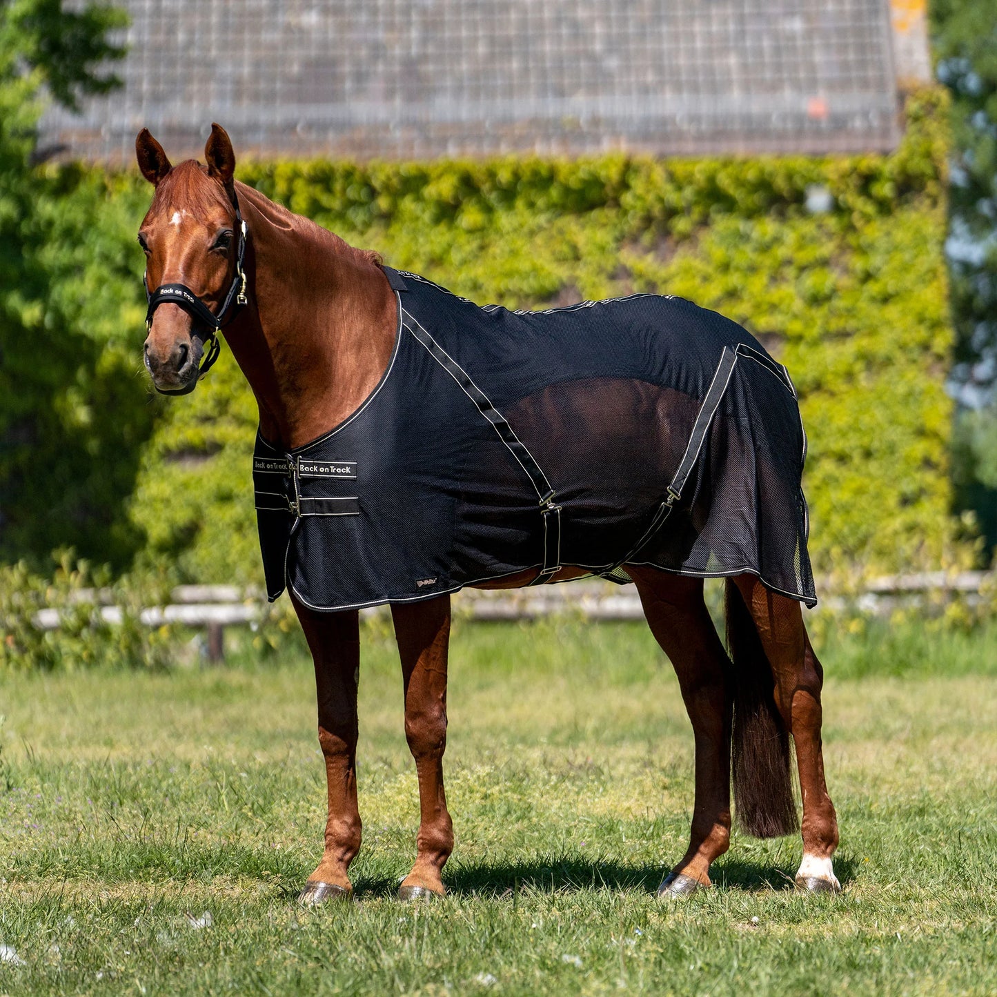 Back On Track Sienna Mesh Sheet - Black Therapeutic Horse Sheet with Knitted Lining - Multiple Sizes