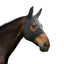 Back On Track Spirit Soothing Hood with Ears