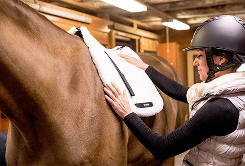 Back On Track Teddy All-Purpose Saddle Pad