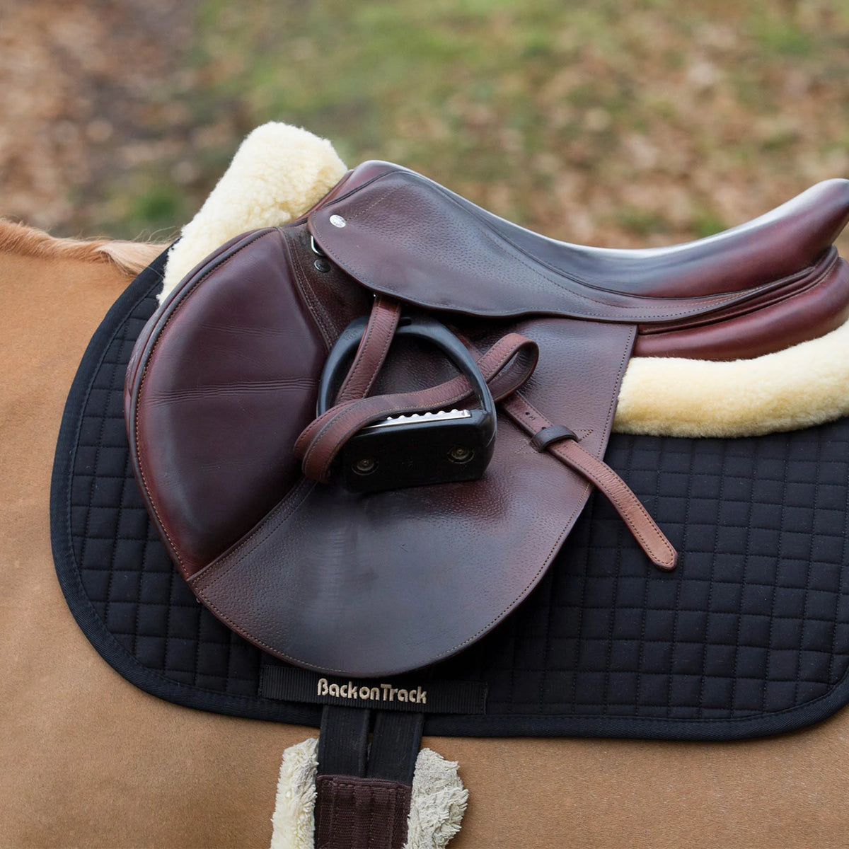 Back On Track Therapeutic All Purpose Saddle Pad No 1 - Black, Full Size