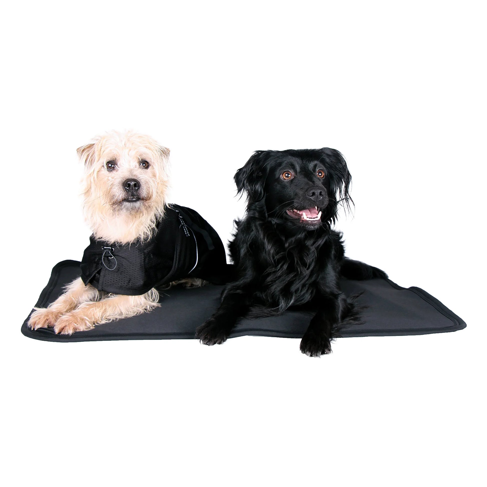 Back On Track Therapeutic Dog Bed Liner - Black, Small (30" x 23") - Infrared Joint Support