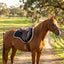 *Alt Text: Studio photograph of the black Toklat Matrix Endurance English saddle pad (SKU 27-8454-BK) with a thick white WoolBack fleece edge, shown against a white background. The pad has a contoured shape, a quilted ETC fabric top, and black nylon billet straps.*

#### **2. Rustic Lifestyle Shot**

This image shows the saddle pad in a realistic equestrian setting, placed on a horse, demonstrating its use.