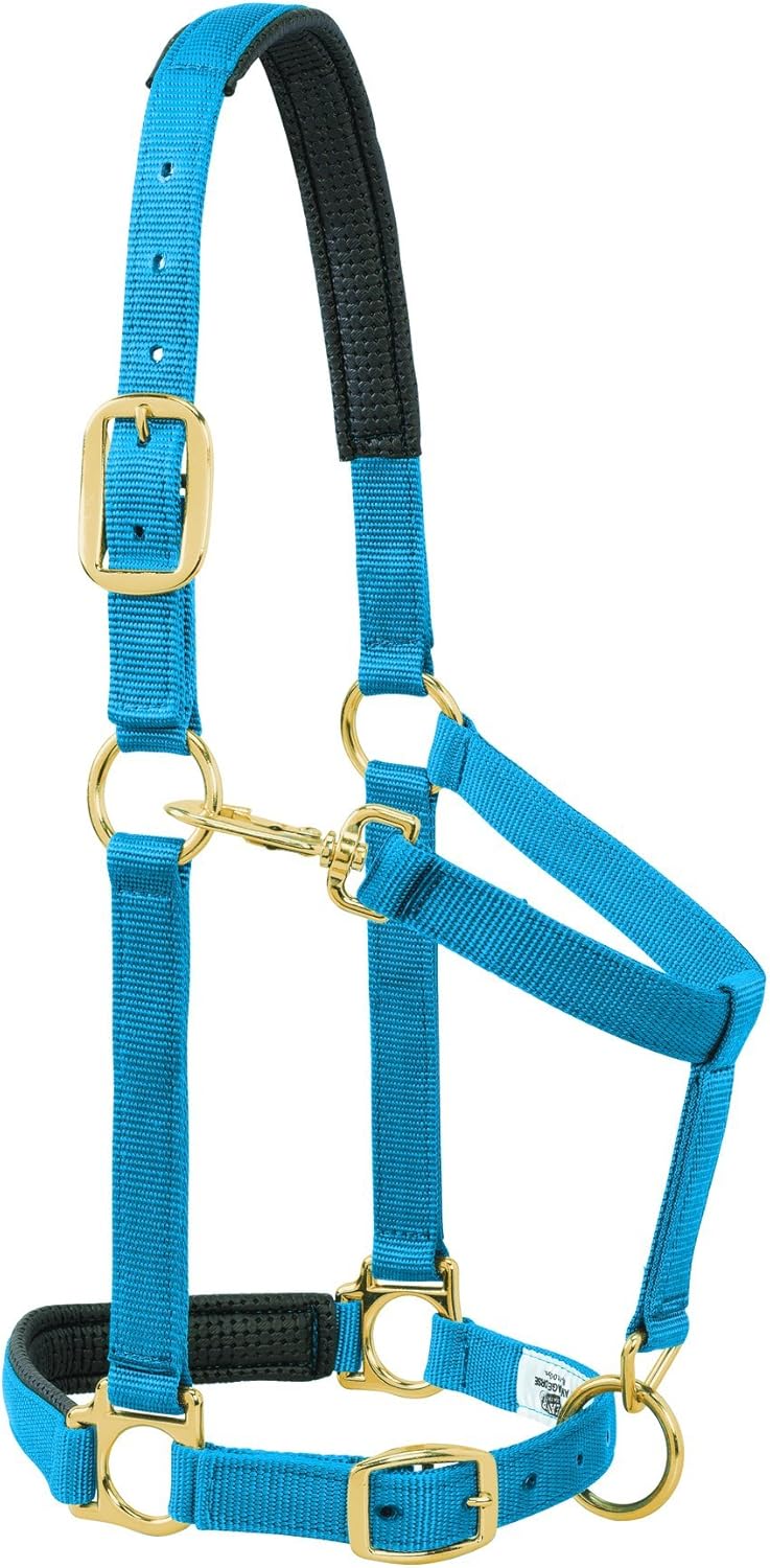 Weaver Leather Padded Adjustable Halter - Large Horse/Draft