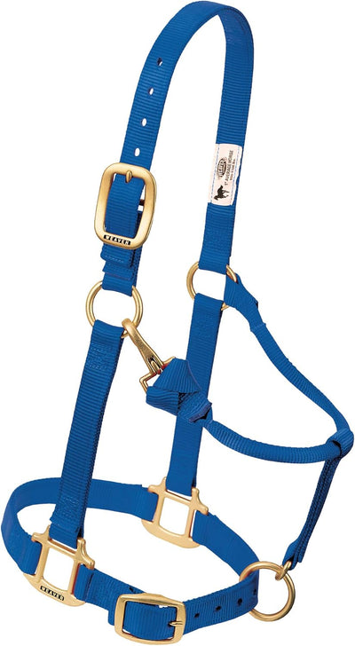 Weaver Equine Miniature Horse Adjustable Halter | 5/8" Nylon with Throat Snap