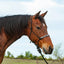 Cashel Beaded Nose Rope Halter with 9ft Lead on a bay horse. This durable black rope halter features a stylish geometric beaded noseband in white, grey, and black. The high-quality equestrian tack includes a matching heavy-duty lead rope, ideal for horse training and everyday use. The profile shot highlights the brand's quality craftsmanship and elegant design, making it a perfect addition to any western horse owner's gear collection.