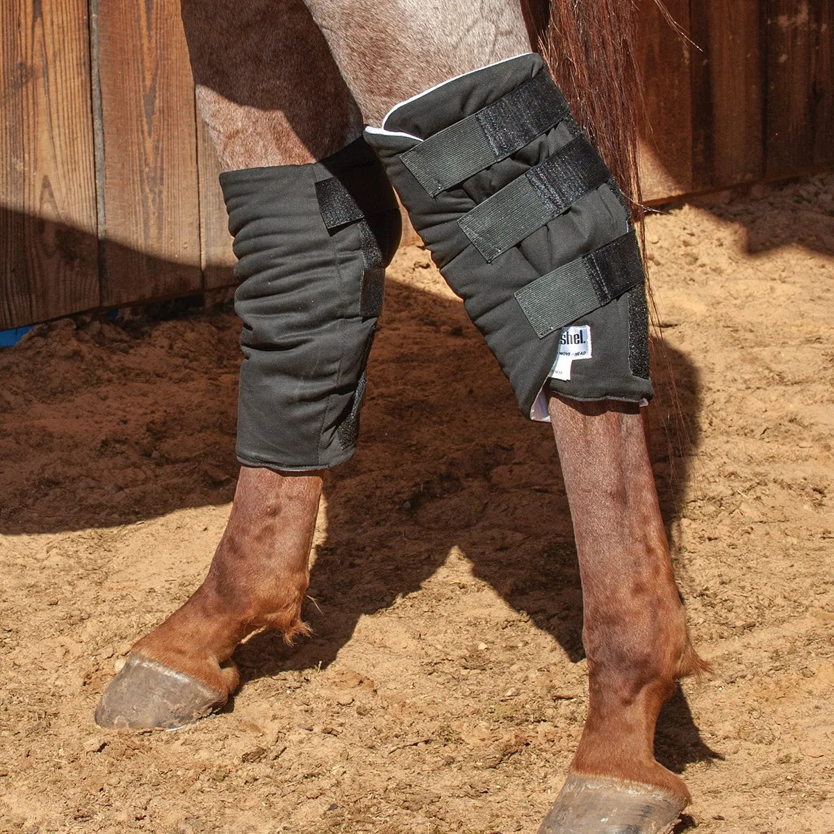 Cashel Boomers Hock Socks in black on a horse’s hind legs, providing essential hock sore protection. These thick, padded horse hock wraps feature three adjustable hook-and-loop straps for a secure, custom fit. Ideal for preventing bedsores and protecting joints during travel or stall rest. The durable black material offers superior comfort and coverage, shown here on a chestnut horse standing in a sandy paddock.