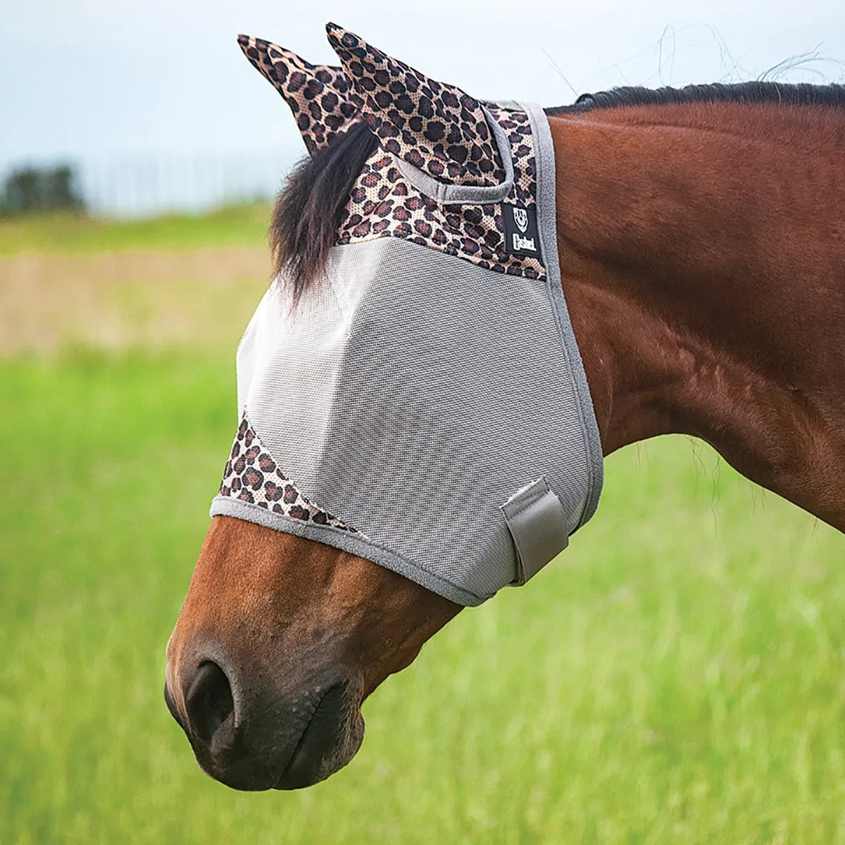 Cashel Crusader Fly Mask in a stylish leopard print pattern on a bay horse. This premium horse fly mask features durable grey mesh for clear vision and protective ear covers to keep insects away. Designed for ultimate eye and face protection, it includes a secure hook-and-loop closure for a comfortable fit in the pasture. Fashionable and functional equestrian gear for superior sun and pest protection.