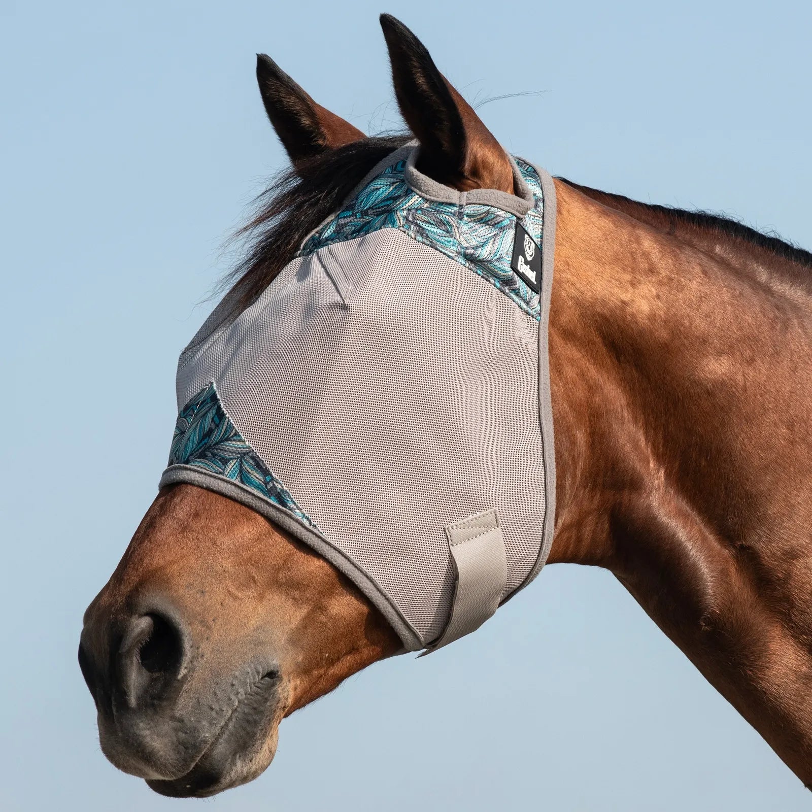 Cashel Crusader Fly Mask in the Pluma print, featuring a durable grey mesh body with vibrant teal and blue patterned trim on a bay horse. This protective horse fly mask offers UV protection and insect defense with clear visibility. Designed with soft fleece edging for comfort and a secure strap for a snug fit. Perfect equestrian gear for pasture use, providing ultimate fly protection and style for your horse.
