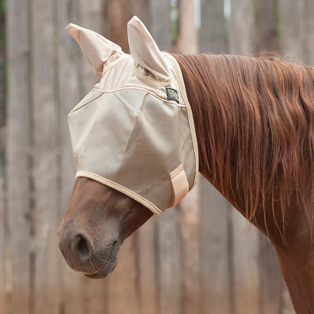 Tan Cashel Econo Fly Mask with ears on a chestnut horse. This breathable mesh horse fly mask provides superior insect defense and UV protection while maintaining clear visibility. Featuring a comfortable, ergonomic design with secure closures, it's the perfect equestrian accessory for protecting your horse's eyes and ears from flies and sun damage during turnout.
