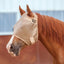 Cashel Econo Fly Mask in beige mesh shown on a chestnut horse. This protective horse fly mask offers essential UV protection and insect defense. Features include a breathable mesh design, comfortable ear openings, and a secure adjustable throat latch. Perfect for keeping horses fly-free and comfortable in the pasture, this Cashel fly mask is a must-have for summer horse care and equestrian sun protection.