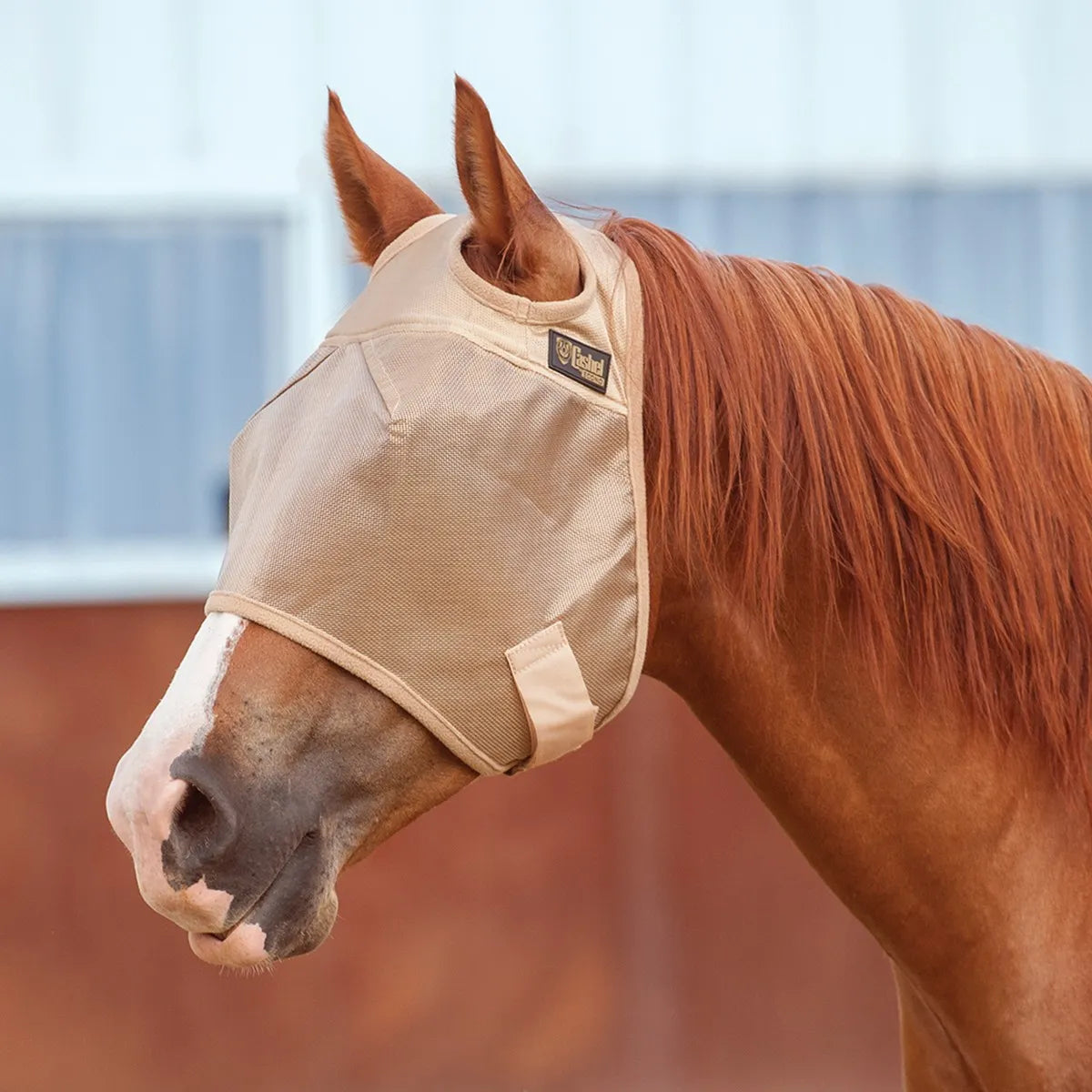 Cashel Econo Fly Mask in beige mesh shown on a chestnut horse. This protective horse fly mask offers essential UV protection and insect defense. Features include a breathable mesh design, comfortable ear openings, and a secure adjustable throat latch. Perfect for keeping horses fly-free and comfortable in the pasture, this Cashel fly mask is a must-have for summer horse care and equestrian sun protection.