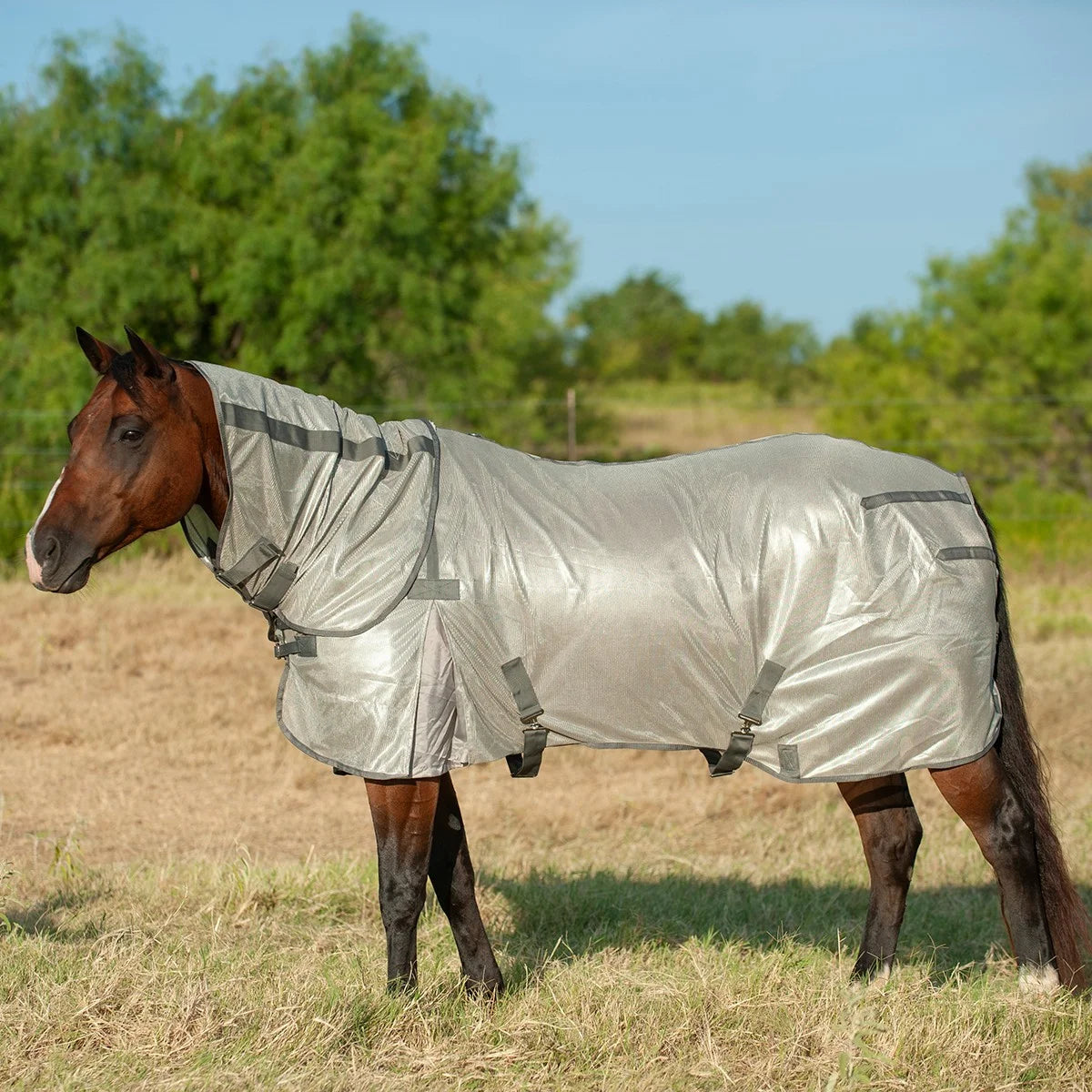 Cashel Econo Fly Sheet with Neck Guard - Breathable Mesh for Insect & UV Protection - Multiple Sizes