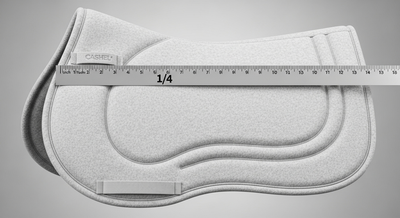 AI Blogger Image Storage - Hooves & Paws Media Safety Net