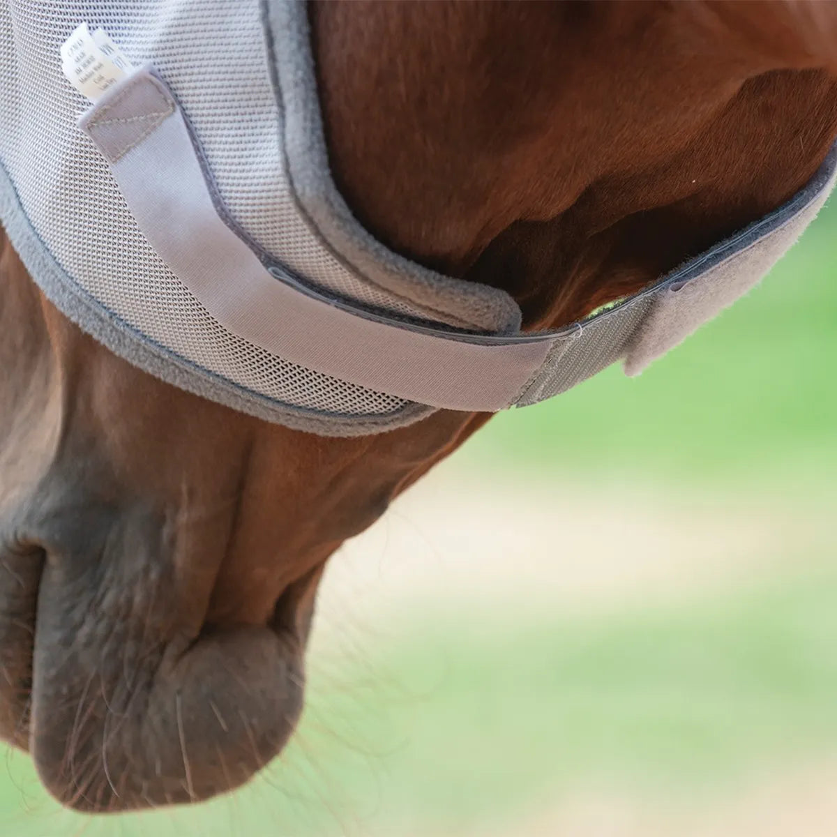 Cashel Fly Mask Extender in grey, shown on a chestnut horse for a perfect, adjustable fit. This durable mesh fly mask accessory provides a secure and comfortable hold under the jaw, ensuring your horse stays protected from pests. Essential equestrian gear for fly control and horse care, featuring soft padding and adjustable Velcro for a customized fit. Perfect for securing horse fly masks during grazing.