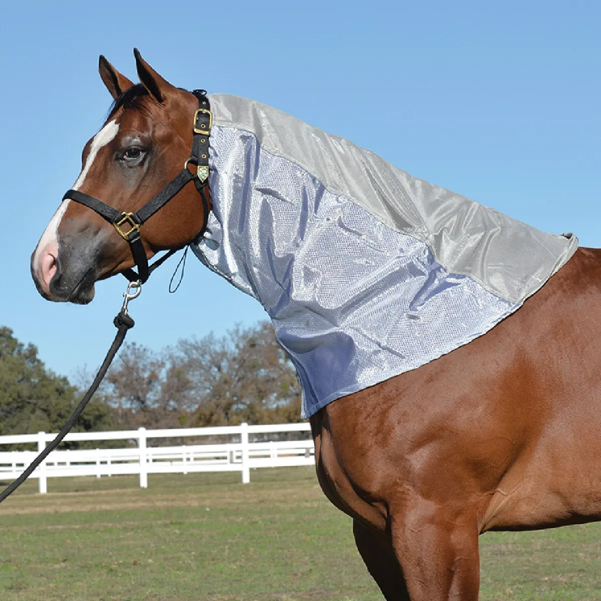 Silver Cashel Flysheet Neck Cover on a bay horse in a sunny pasture. This breathable grey mesh horse neck protector offers essential UV and insect protection for summer comfort. Securely attached to a black halter, the lightweight, cooling fabric shields the neck and mane from biting flies and sun damage. Durable equestrian gear for turnout, shown against a white paddock fence and clear blue sky.