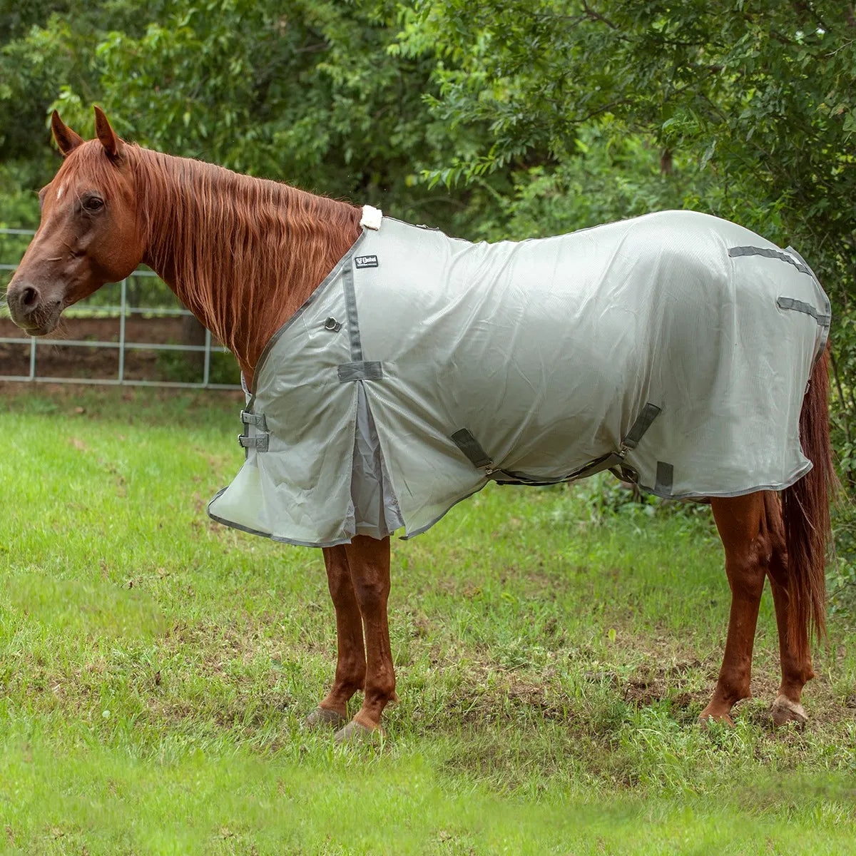 Cashel Flysheet in light grey mesh on a chestnut horse in a lush green pasture. This breathable horse fly sheet provides essential insect and UV protection for summer turnout. Features include deep shoulder gussets for freedom of movement, fleece-lined withers for comfort, and adjustable belly straps for a secure fit. Ideal for horse owners seeking durable, high-quality pest protection and cooling horse gear.