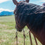 Cashel Harness Split Reins featuring 5/8" thick durable brown leather and classic tied ends. These premium Western reins are shown attached to a bit on a bay horse against a scenic mountain backdrop. Perfect for riders seeking high-quality, heavy-duty tack for trail riding or training, offering a traditional aesthetic and reliable grip for all equestrian disciplines.