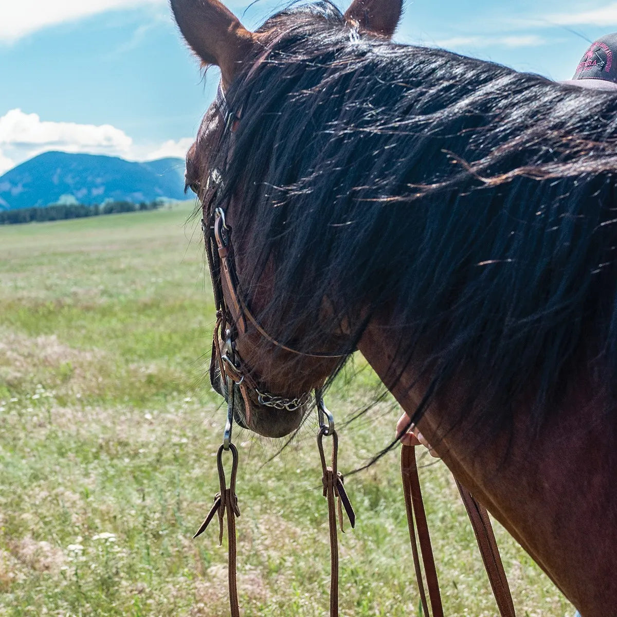 Cashel Harness Split Reins featuring 5/8" thick durable brown leather and classic tied ends. These premium Western reins are shown attached to a bit on a bay horse against a scenic mountain backdrop. Perfect for riders seeking high-quality, heavy-duty tack for trail riding or training, offering a traditional aesthetic and reliable grip for all equestrian disciplines.