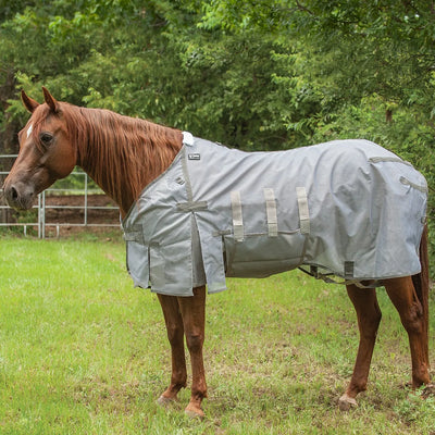 Chestnut horse wearing a Cashel Light Weight Flysheet in a lush green pasture. This breathable grey mesh horse fly sheet provides ultimate insect protection and UV ray defense during summer. Features include adjustable straps, a belly wrap for full coverage, and comfortable shoulder gussets. Perfect for keeping horses cool and fly-free in the field, this durable, lightweight equestrian gear is essential for outdoor pest control.