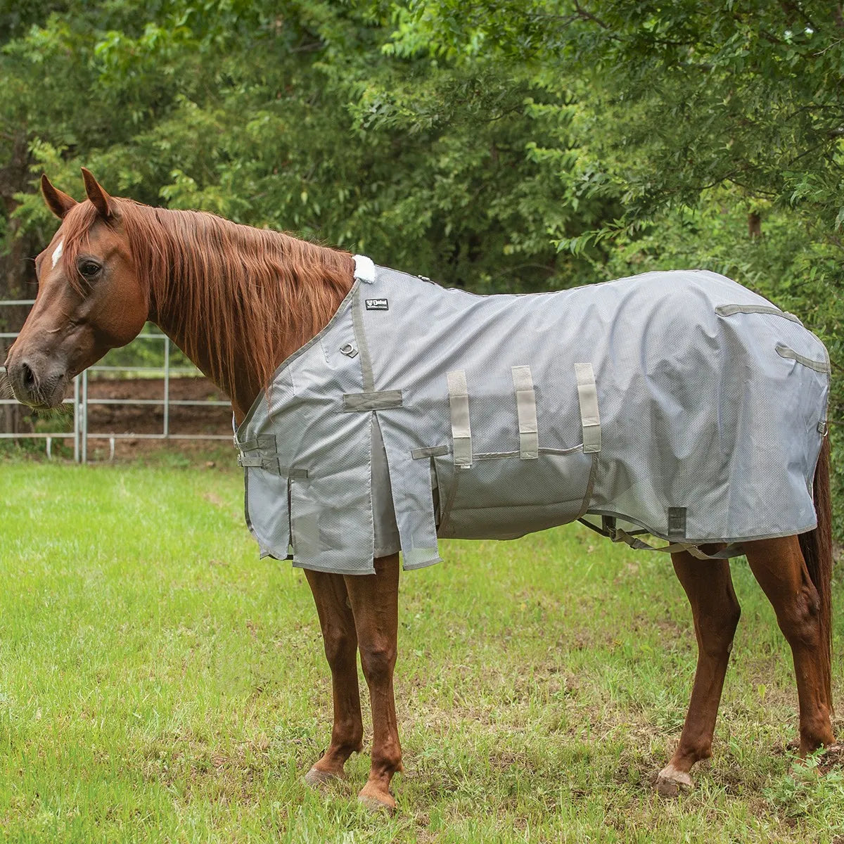 Cashel Light Weight Flysheet in grey mesh, modeled on a chestnut horse in a grassy field. This breathable fly sheet features full-body coverage, an integrated belly wrap for superior insect protection, shoulder gussets for freedom of movement, and fleece wither padding for comfort. A must-have equestrian accessory for keeping horses cool and pest-free during the summer months.
