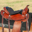 Black Cashel Long Western Tush Cushion mounted on a brown leather Western saddle with silver conchos and leather ties. This padded seat cover is designed for maximum comfort during long trail rides, fitting securely from the cantle to the pommel. An essential equestrian accessory for riders seeking extra cushioning and shock absorption. Perfect addition to any Western pleasure or trail riding gear setup for a soft, supportive ride.