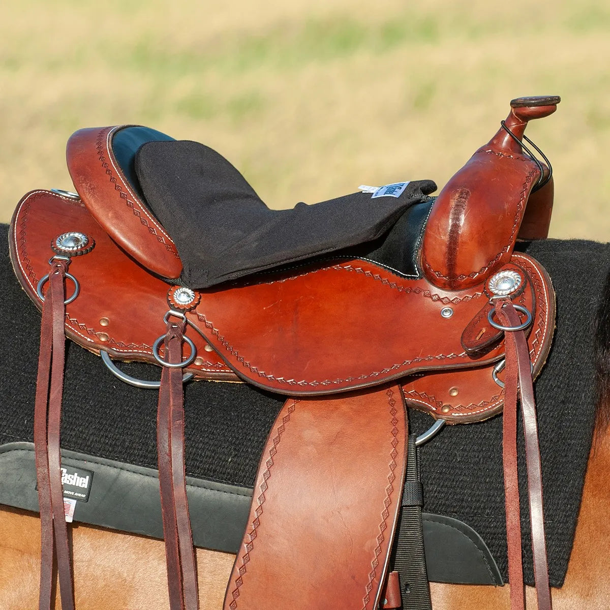 Black Cashel Long Western Tush Cushion mounted on a brown leather Western saddle with silver conchos and leather ties. This padded seat cover is designed for maximum comfort during long trail rides, fitting securely from the cantle to the pommel. An essential equestrian accessory for riders seeking extra cushioning and shock absorption. Perfect addition to any Western pleasure or trail riding gear setup for a soft, supportive ride.