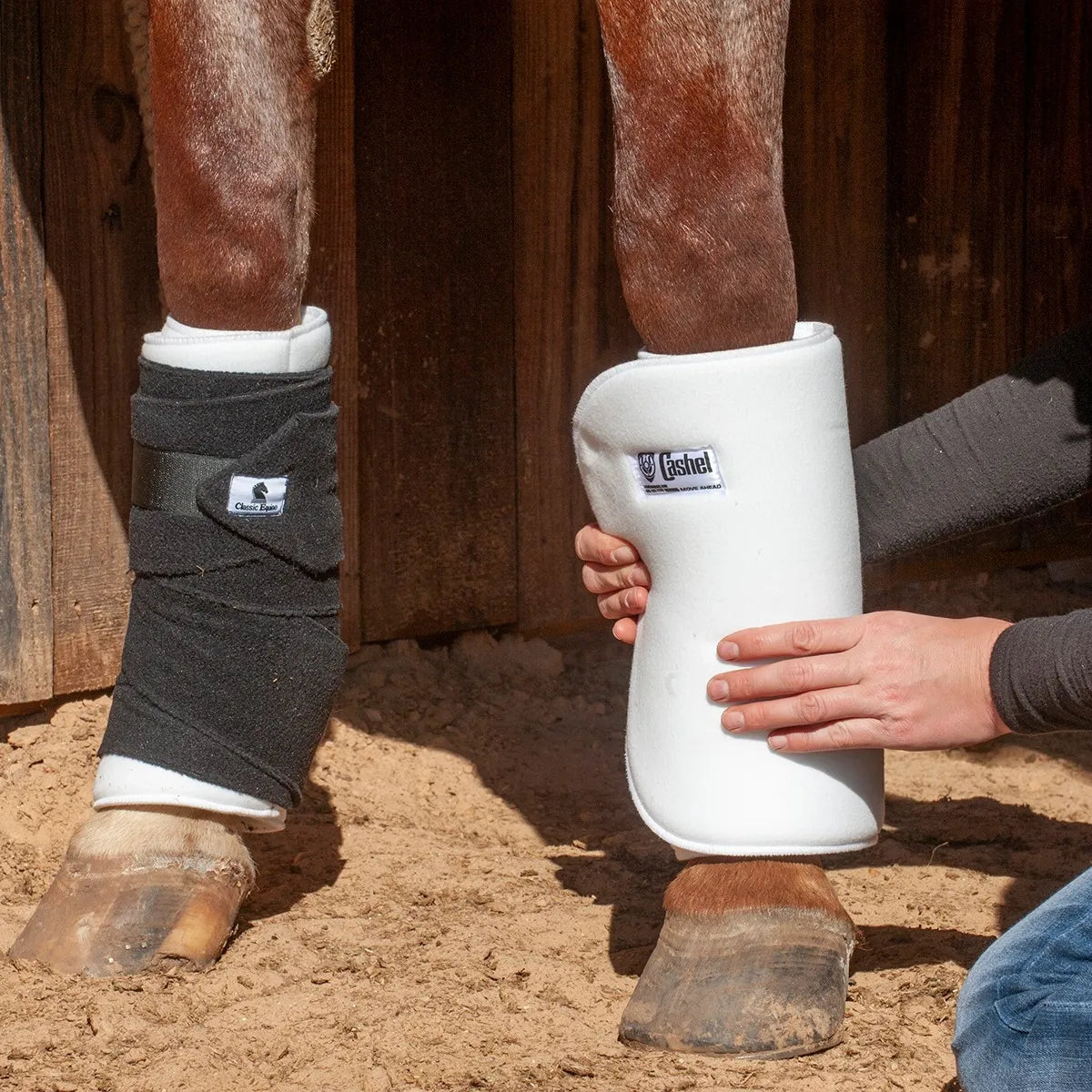 White Cashel No Bow Bandage Wrap being applied to a horse's leg for superior cushioning and support. A person's hands hold the thick, quilted white wrap in place, while the adjacent leg shows a black bandage secured over a similar wrap. Ideal for equine leg protection, injury recovery, or shipping, these breathable and soft wraps prevent pressure points and ensure maximum comfort. Perfect for horse trailering and stall rest.