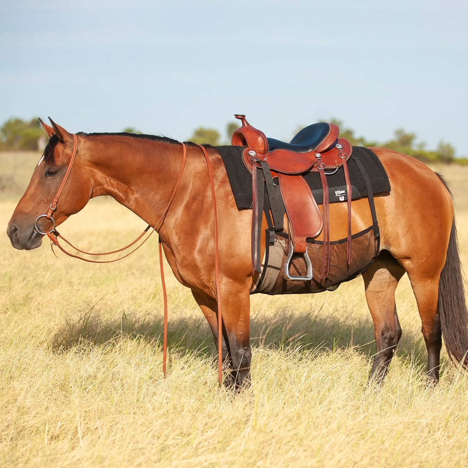Cashel Quiet Ride Belly Guard in Small, crafted from breathable black mesh to protect a horse's sensitive belly from flies and insect irritation. This lightweight guard attaches securely to western tack, as shown on a bay horse in a field. Perfect for trail riders, it prevents biting gnats and flies from bothering your horse. Durable, effective horse insect protection gear designed for comfort and focus during every ride.