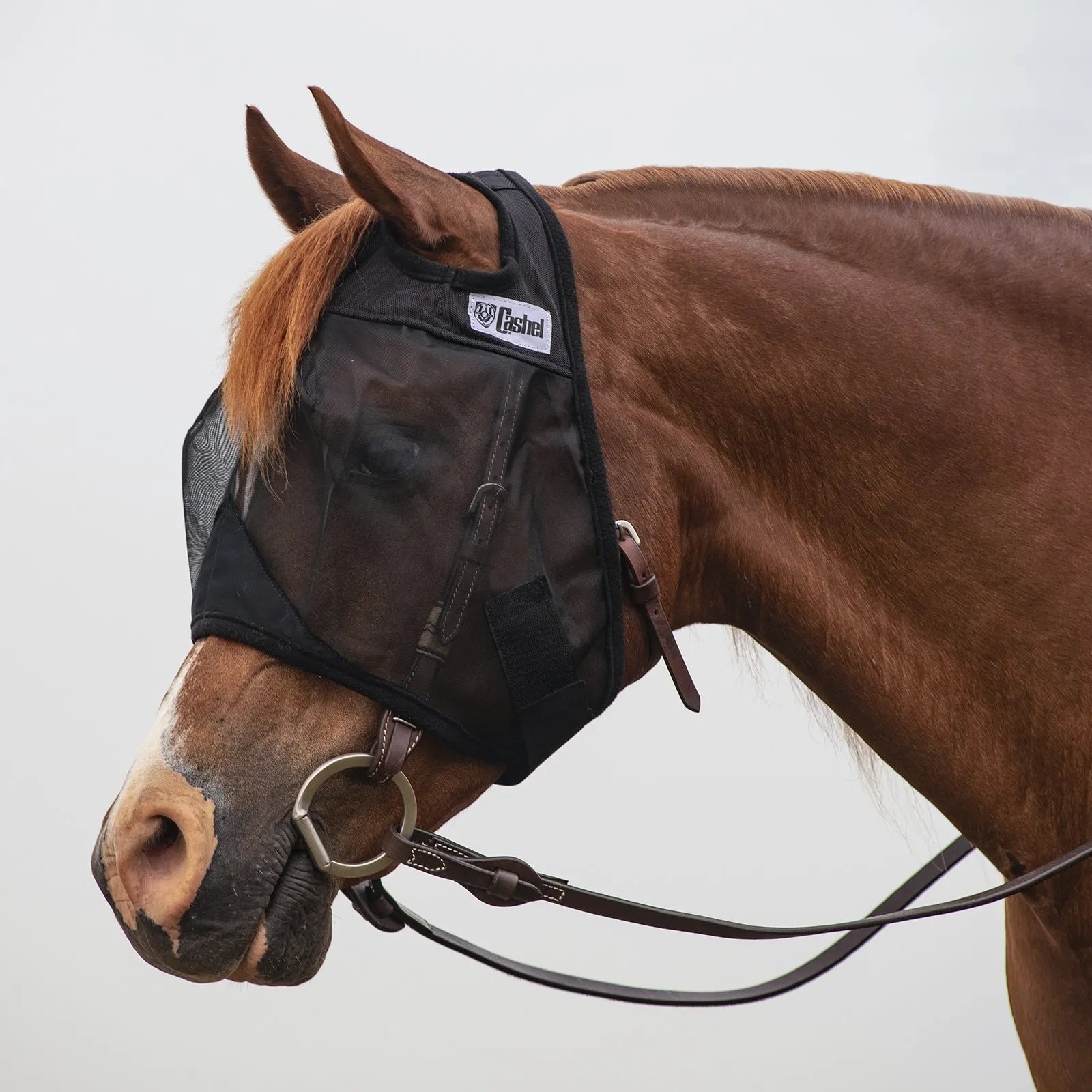 Cashel Quiet Ride Fly Mask in black mesh worn over a leather bridle on a chestnut horse. This lightweight, transparent riding fly mask provides superior insect protection and UV defense without obstructing the horse's vision. Ideal for trail riding or schooling, the breathable mesh keeps flies away from the eyes and face for a more focused ride. Essential equestrian gear for horse fly protection during summer rides.