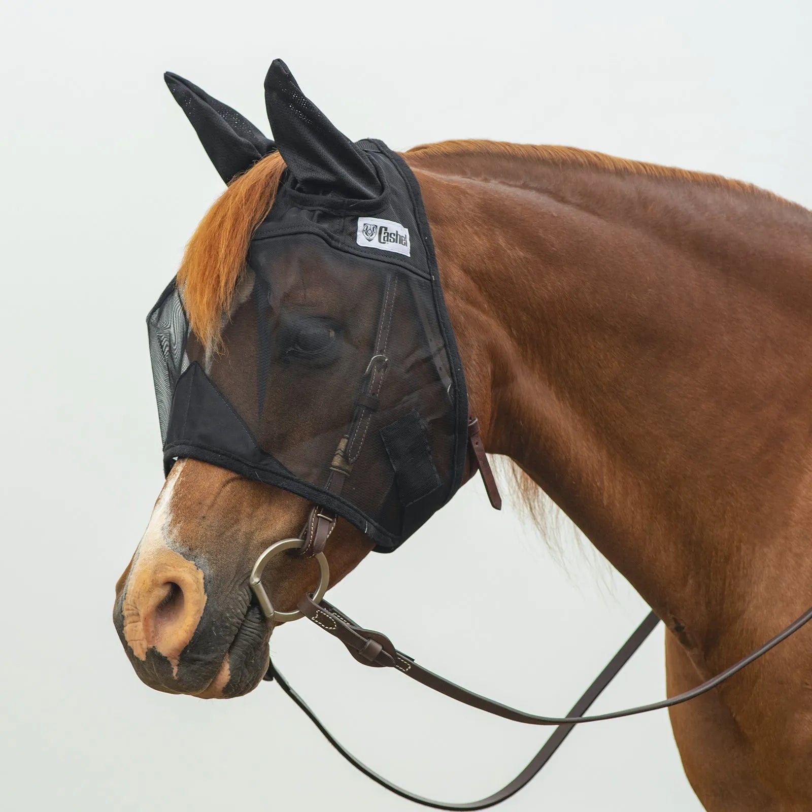 Cashel Quiet Ride Fly Mask with ears in black, shown on a chestnut horse wearing a bridle. This transparent mesh horse fly mask provides essential protection from flies and biting insects while riding or on the trail. Features include breathable mesh ear covers and a lightweight design that doesn't obstruct vision. Ideal equine gear for a comfortable, bug-free summer riding experience.