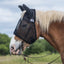 Cashel Quiet Ride Fly Mask in black on a chestnut horse. This breathable mesh horse fly mask with ears provides protection from biting insects and UV rays while riding. Its lightweight, transparent design fits comfortably over the bridle, making it essential equestrian gear for trail riding and outdoor exercise. Keep your horse focused and fly-free with this durable, high-visibility riding fly veil.