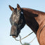 Cashel Quiet Ride Fly Mask in black worn by a bay horse with a bridle. This durable, long-nose horse fly mask features fine mesh to protect against flies and UV rays without obstructing vision. Lightweight and sheer, it’s the ideal riding fly mask for trail rides or training sessions to keep horses calm and focused. Provides full face coverage from eyes to nose while allowing for comfortable movement during work.
