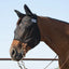 Cashel Quiet Ride Fly Mask in black, featuring a lightweight mesh design and ear covers to protect horses from flies while riding. This see-through fly mask is worn over a western bridle on a bay horse, offering clear vision and comfort for trail riding. Durable and breathable horse gear for effective insect control and focus under saddle.