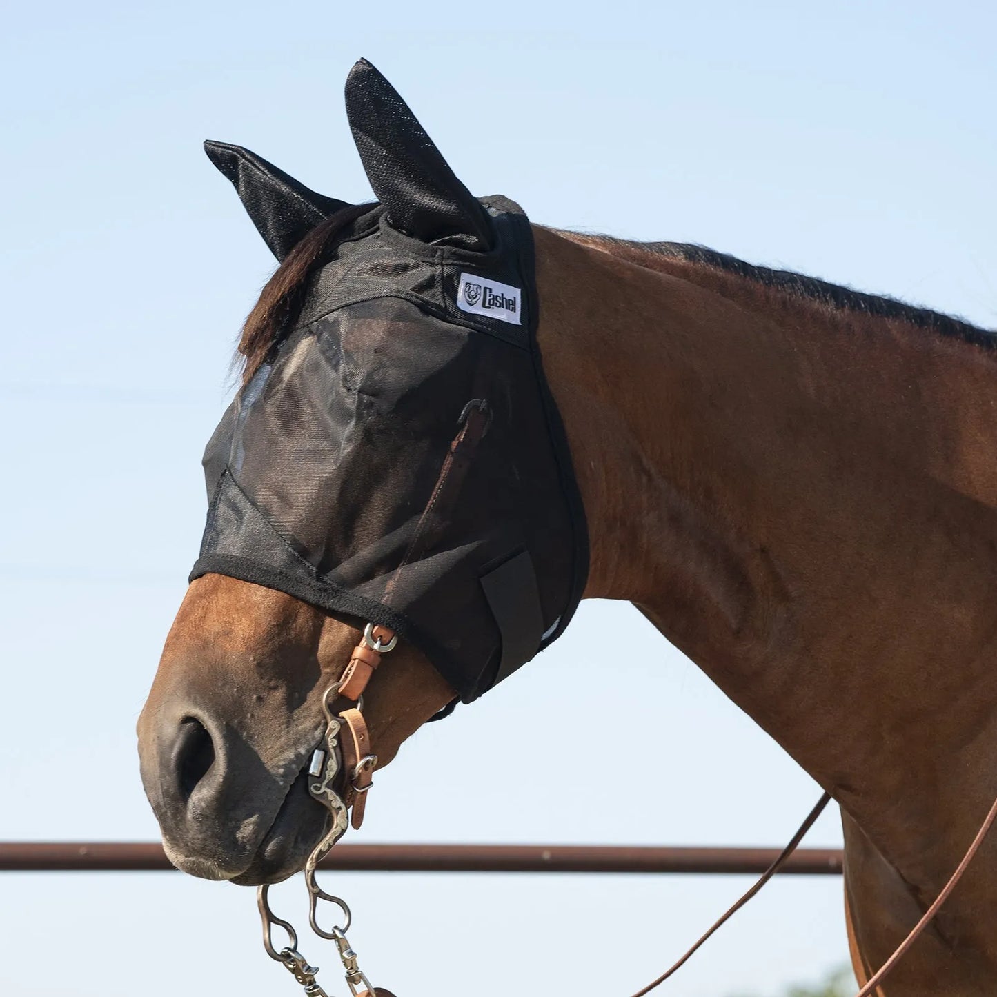 Cashel Quiet Ride Fly Mask in black, featuring a lightweight mesh design and ear covers to protect horses from flies while riding. This see-through fly mask is worn over a western bridle on a bay horse, offering clear vision and comfort for trail riding. Durable and breathable horse gear for effective insect control and focus under saddle.