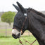 Black Cashel Quiet Ride Fly Mask with ears, specifically designed for mules or donkeys. This breathable black mesh fly mask protects against biting insects and UV rays during rides. Shown secured over a leather bridle and bit on a dark mule, it offers clear visibility and comfort for trail riding. A durable and essential piece of equestrian fly protection for summer adventures.
