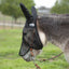 Cashel Quiet Ride Fly Mask in black featuring long ear covers, shown on a mule over a bridle. This lightweight, fine mesh riding mask provides excellent insect protection and UV defense without obstructing vision. An essential equestrian accessory for trail riding, it keeps flies and gnats away from sensitive eyes and ears, ensuring a focused and comfortable ride for your horse or mule.